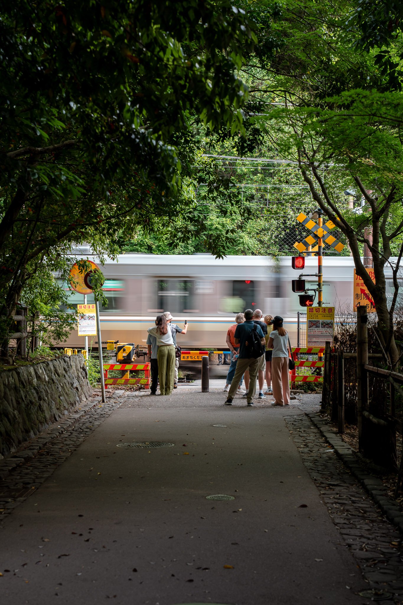 Subway train speeding through a lush green forest, motion blur capturing dynamic movement
