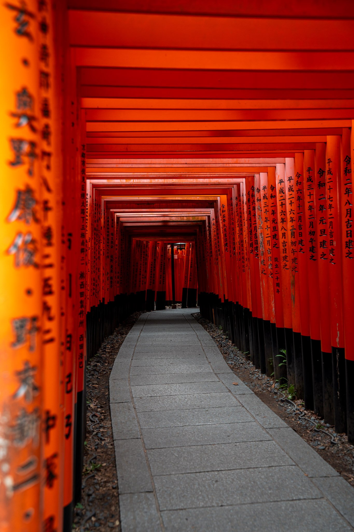 Vibrant red torii gates lining the path at Fushimi Inari Shrine in Kyoto, Japan