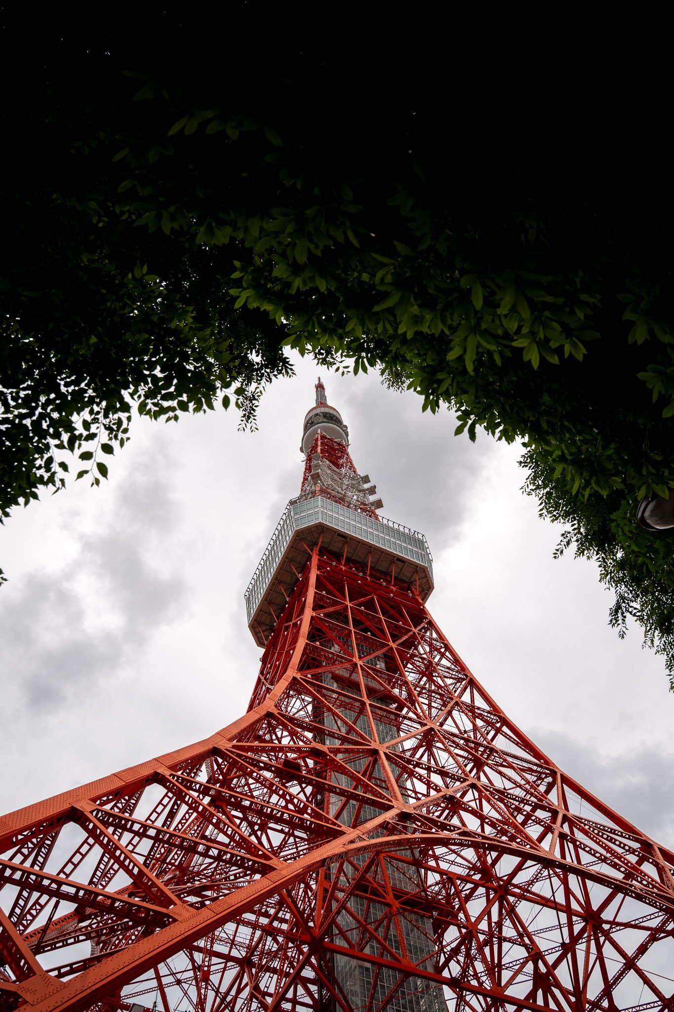 Angled view of Tokyo Tower rising above lush green trees against a clear sky