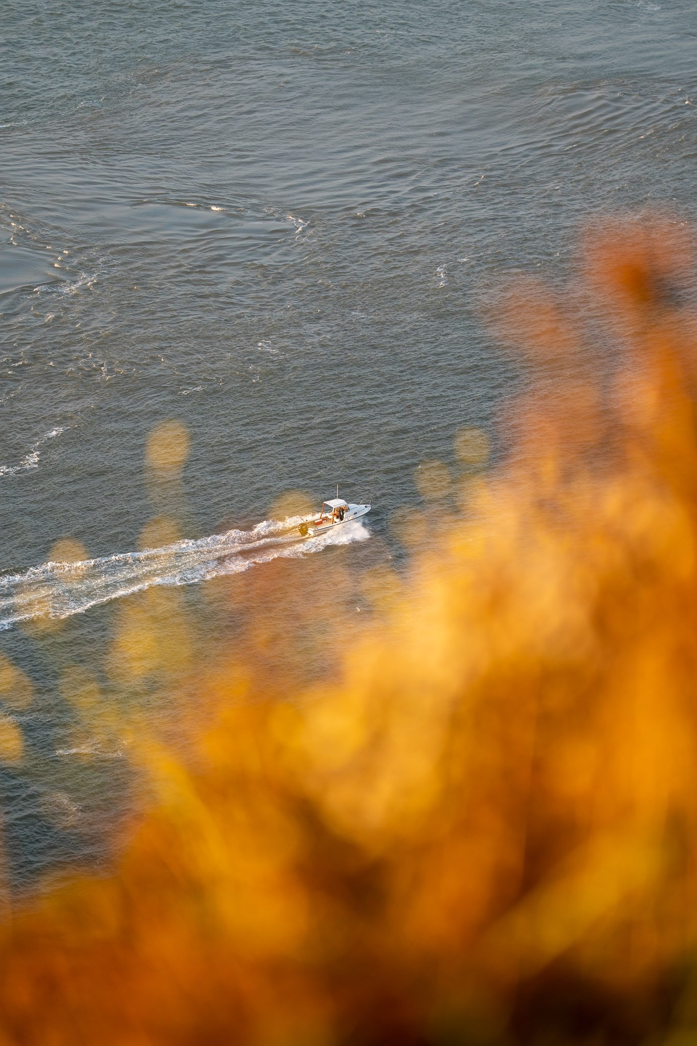 Small vessel navigating calm waters bathed in golden glow near the Golden Gate Bridge