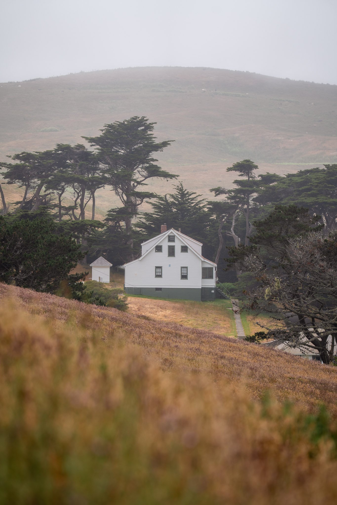 Distant house partially hidden by thick fog in a misty, serene landscape