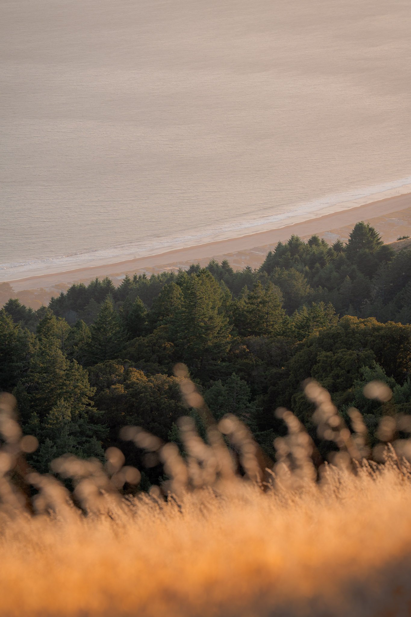 Stinson Beach bathed in warm golden light as the sun sets over the Pacific Ocean