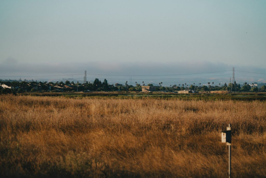 American Canyon in the morning Early morning sunlight illuminating the marshy landscape
