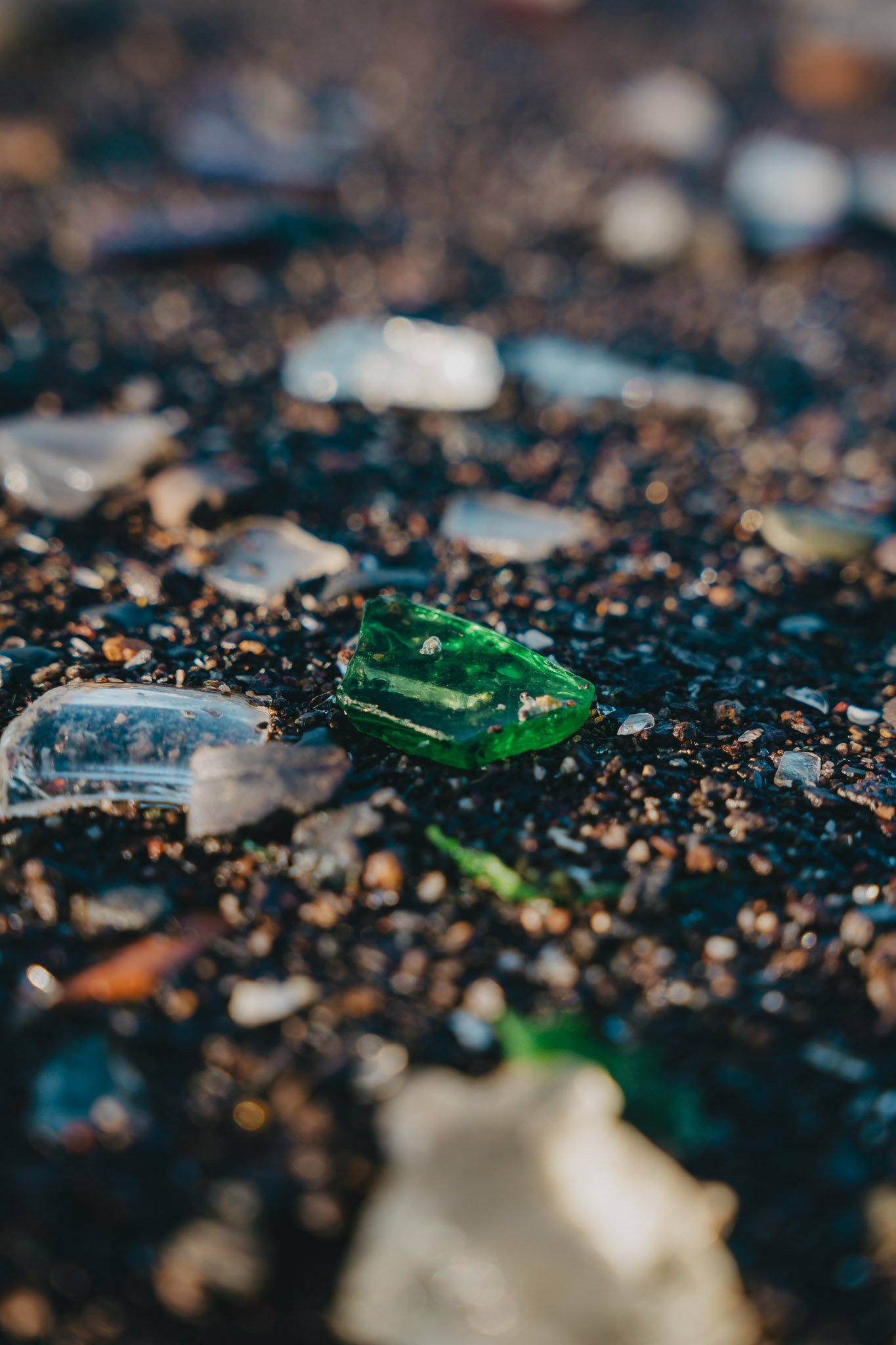Close-up of green sea glass glistening on sunlit beach sand by the shoreline