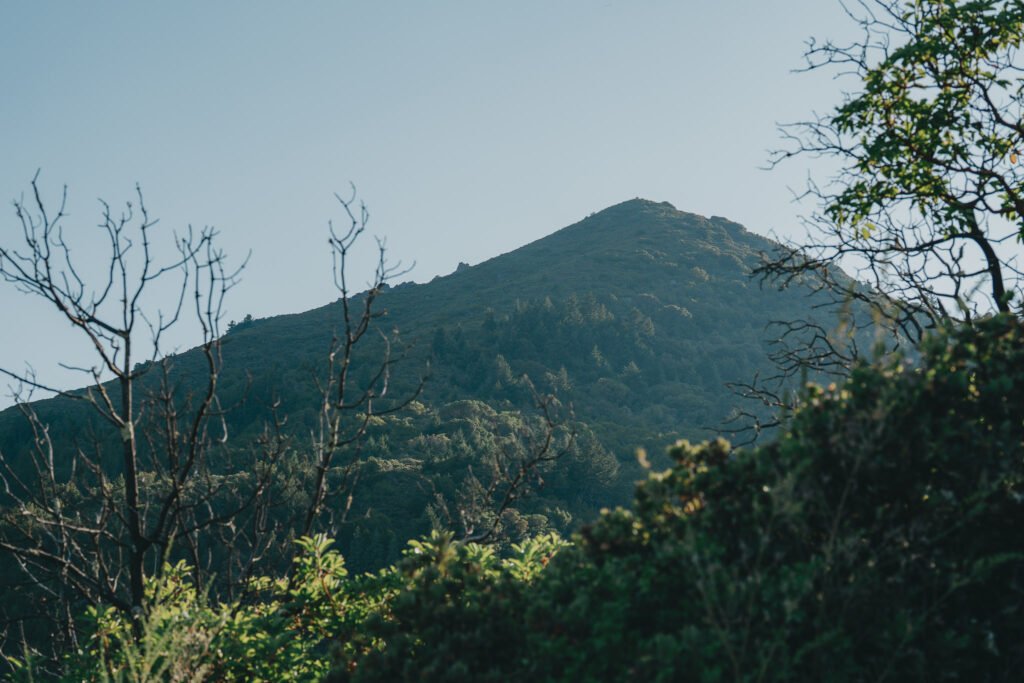 View of Mount Tamalpais with sunlight illuminating from the right